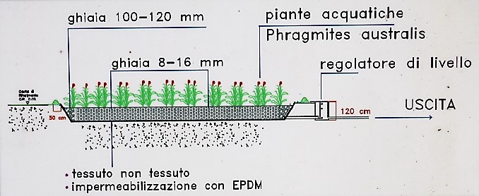 impianto_fitodepurazione