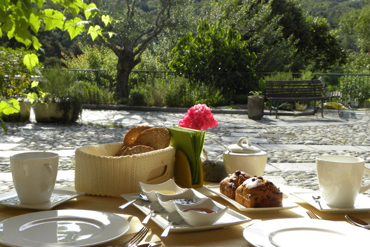 DSCN3741_web colazione