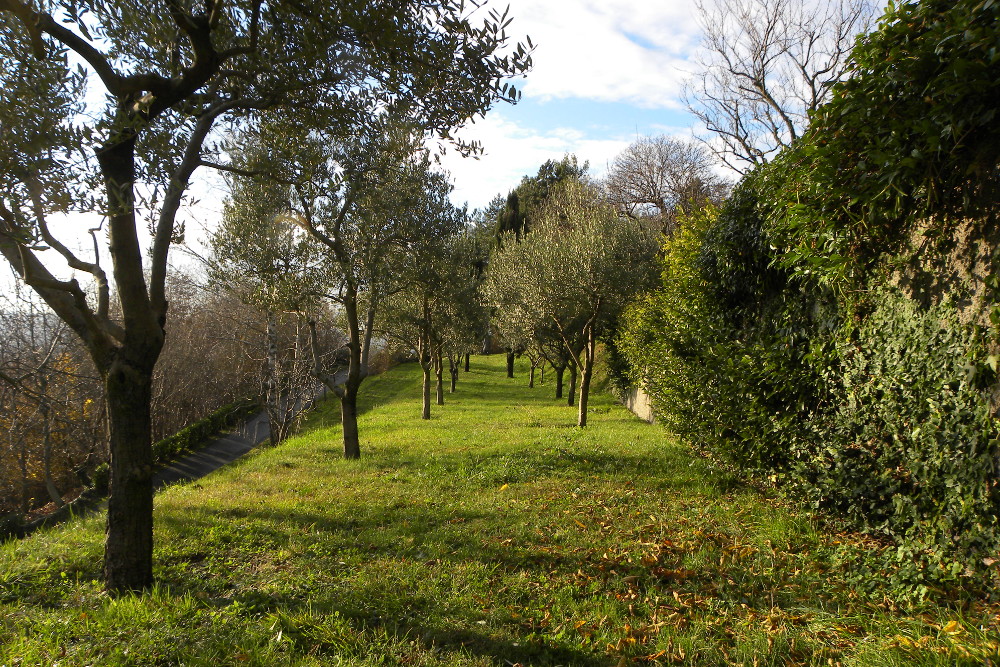 DSCN4634 parco