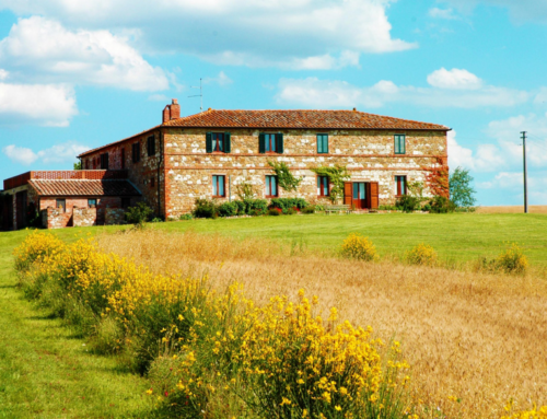 Holidays in Tuscany? We suggest you Agriturismo Il Rigo