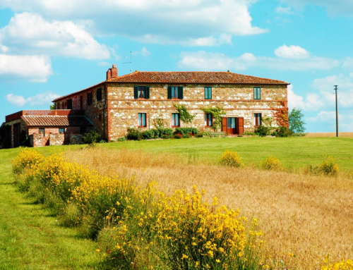 Holidays in Tuscany? We suggest you Agriturismo Il Rigo