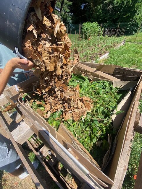 Versamento parte brown