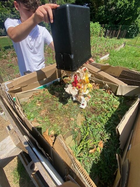 Versamento organico
